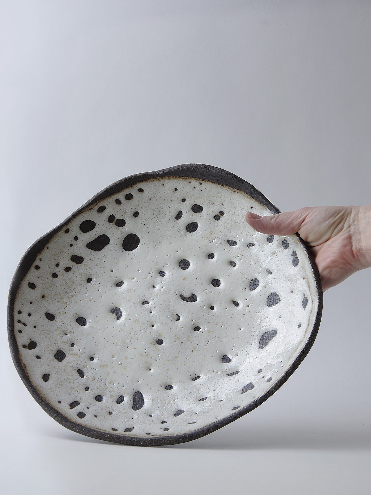 Platter Dalmatian