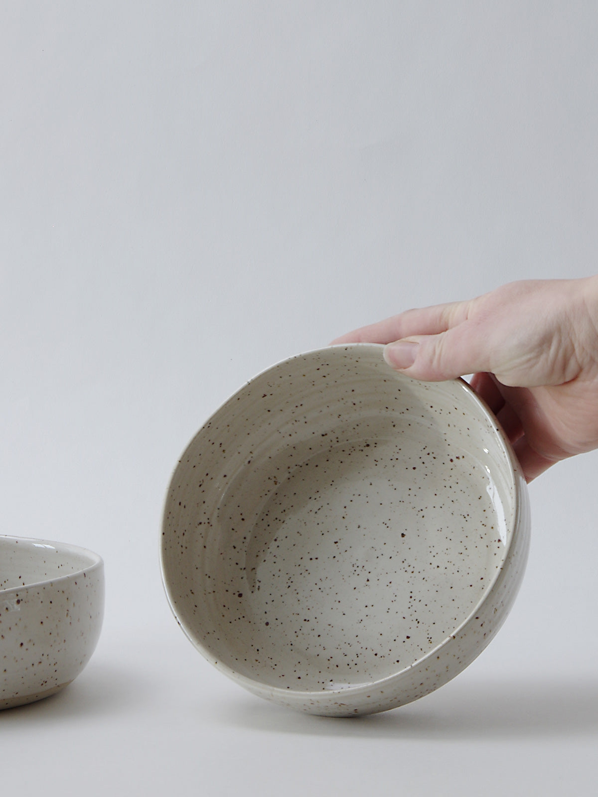 Bowl Speckled Light Low