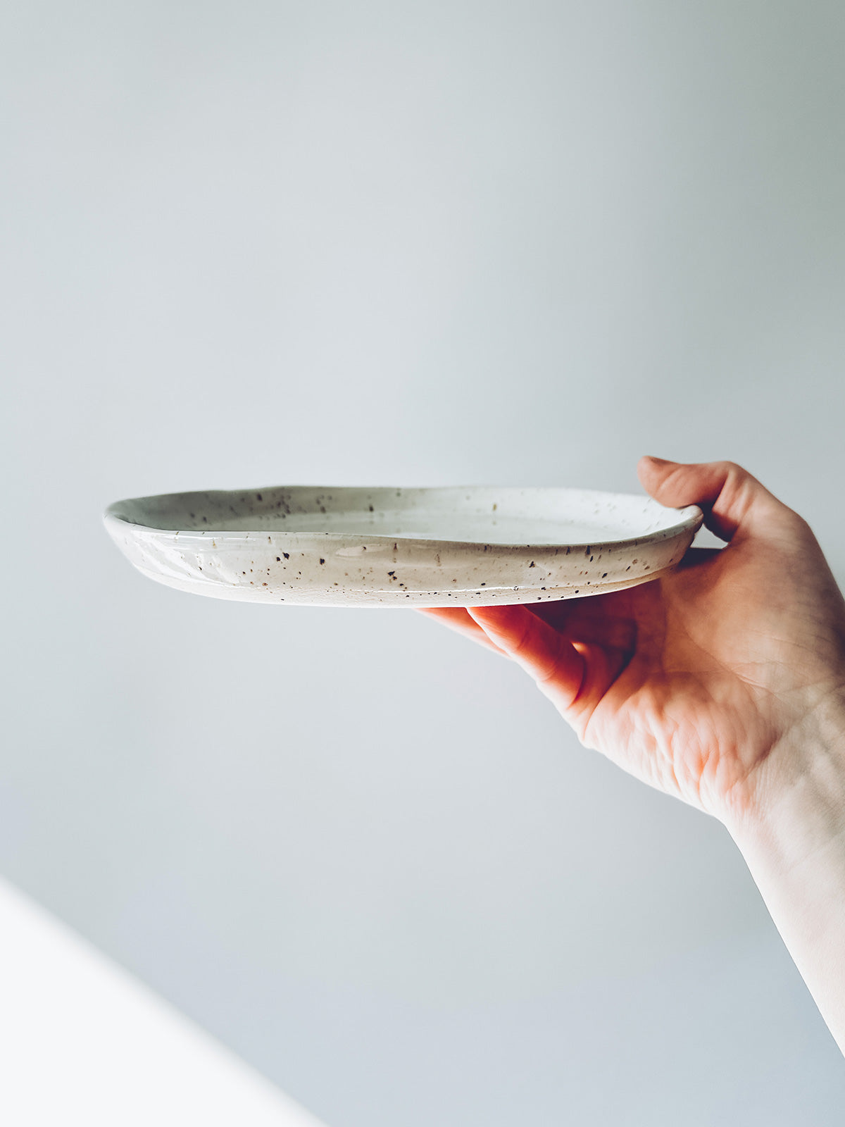 Plate Speckled Light Medium