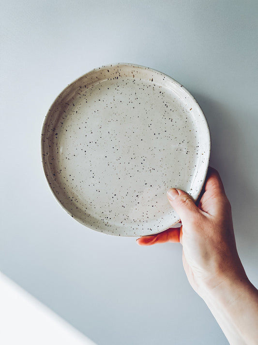 Plate Speckled Light Medium