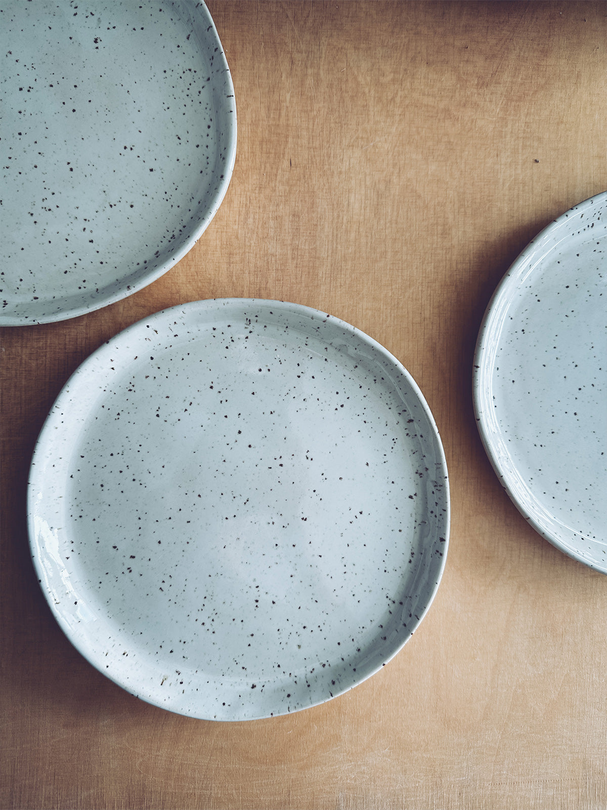 Plate Speckled Light Medium